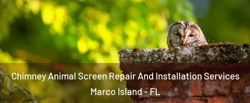Chimney Animal Screen Repair And Installation Services Marco Island - FL