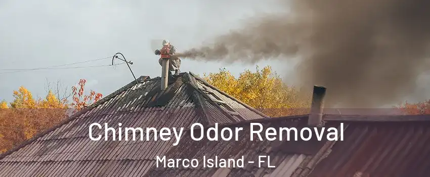  Chimney Odor Removal Marco Island - FL