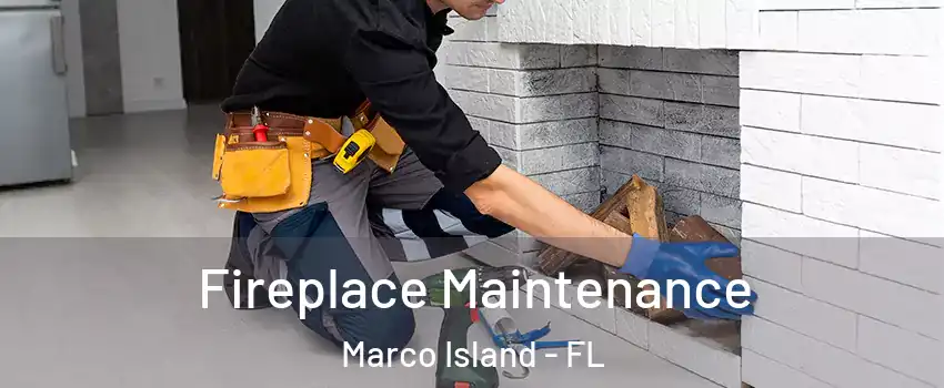  Fireplace Maintenance Marco Island - FL