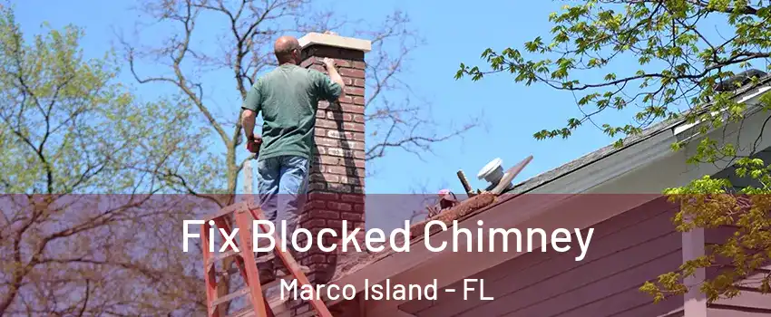  Fix Blocked Chimney Marco Island - FL
