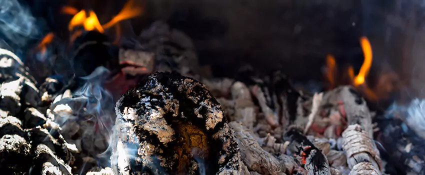 Creosote Removal Experts in Marco Island, FL