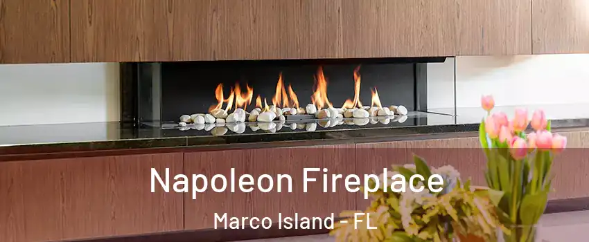  Napoleon Fireplace Marco Island - FL